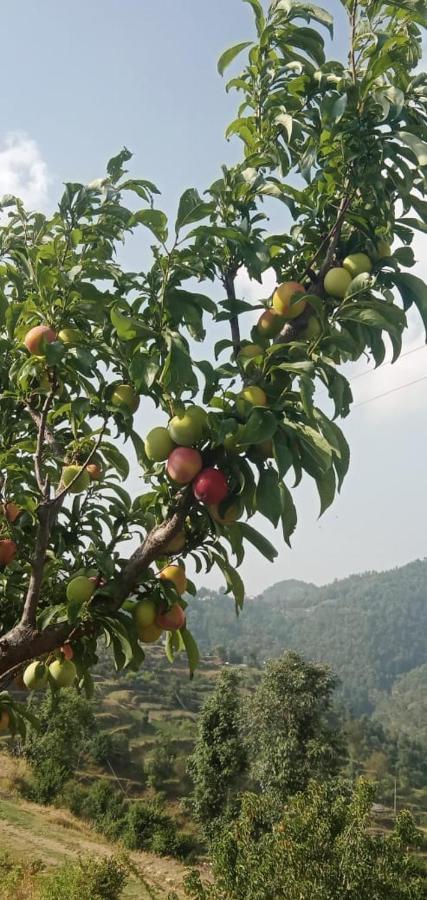 The Plum Apartment มุกเตชวาร์ ภายนอก รูปภาพ